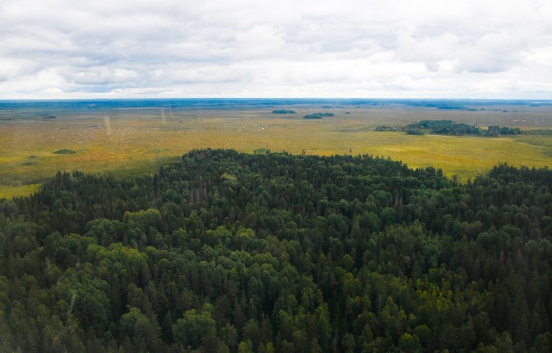 В Тверской области усилят систему дистанционного слежения за обстановкой в лесах