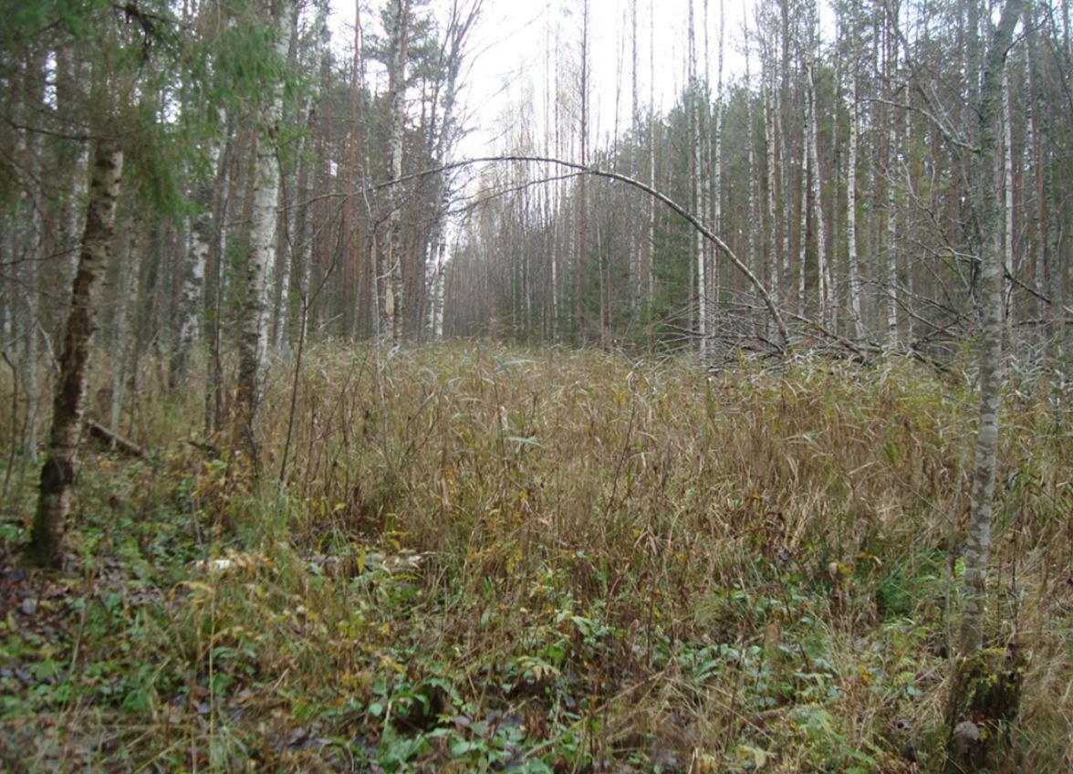 В Тверской области утверждены границы 12 особо охраняемых природных территорий регионального значения площадью более 7,8 тыс. га