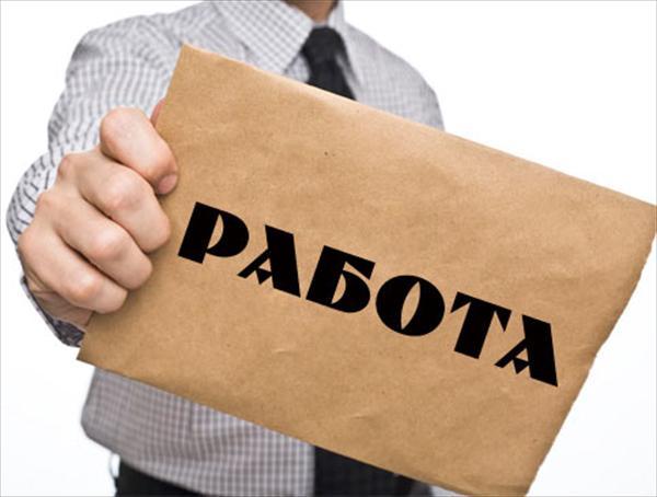 занятость населения