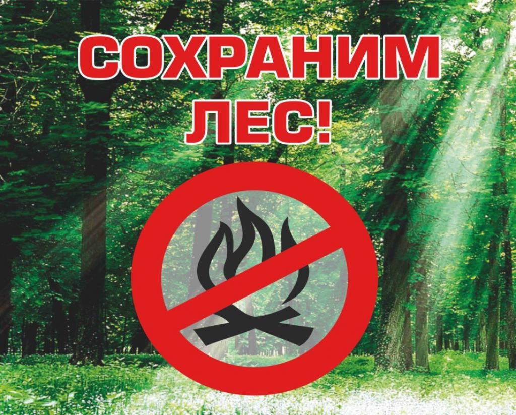 ограничение на посещение лесов