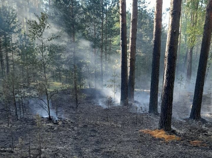 В 35 муниципалитетах Тверской области введен особый противопожарный режим
