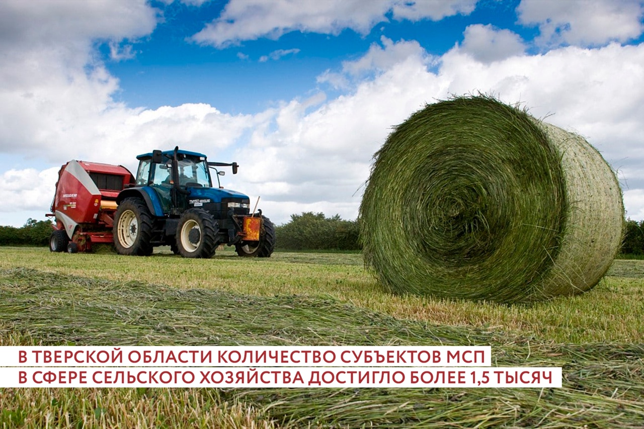 малое и среднее предпринимательство