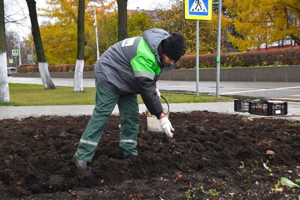 фото с сайта мэрии 2810 20
