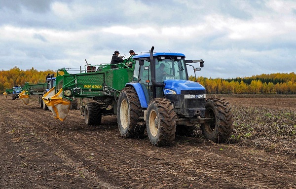 фото с сайта регионального Правительства  3010 21