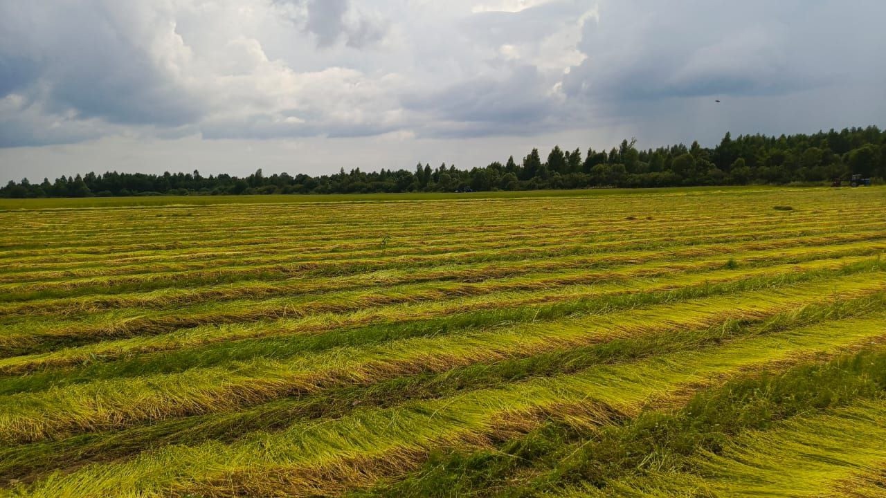 уборочная кампания