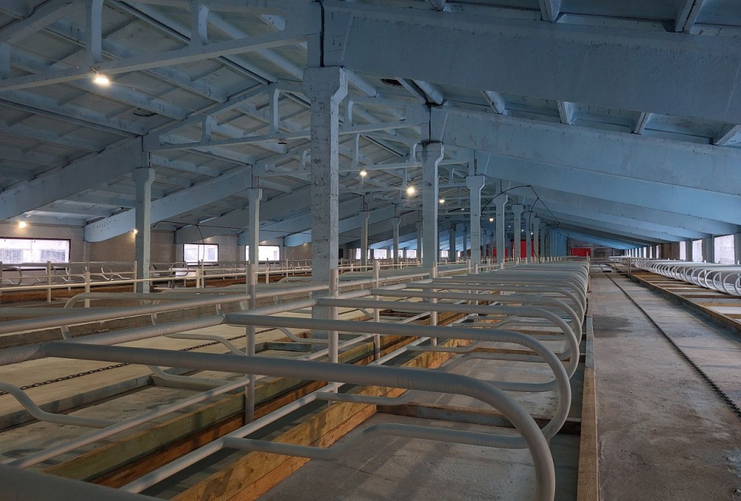 photo 2025 11 20 14 42 02