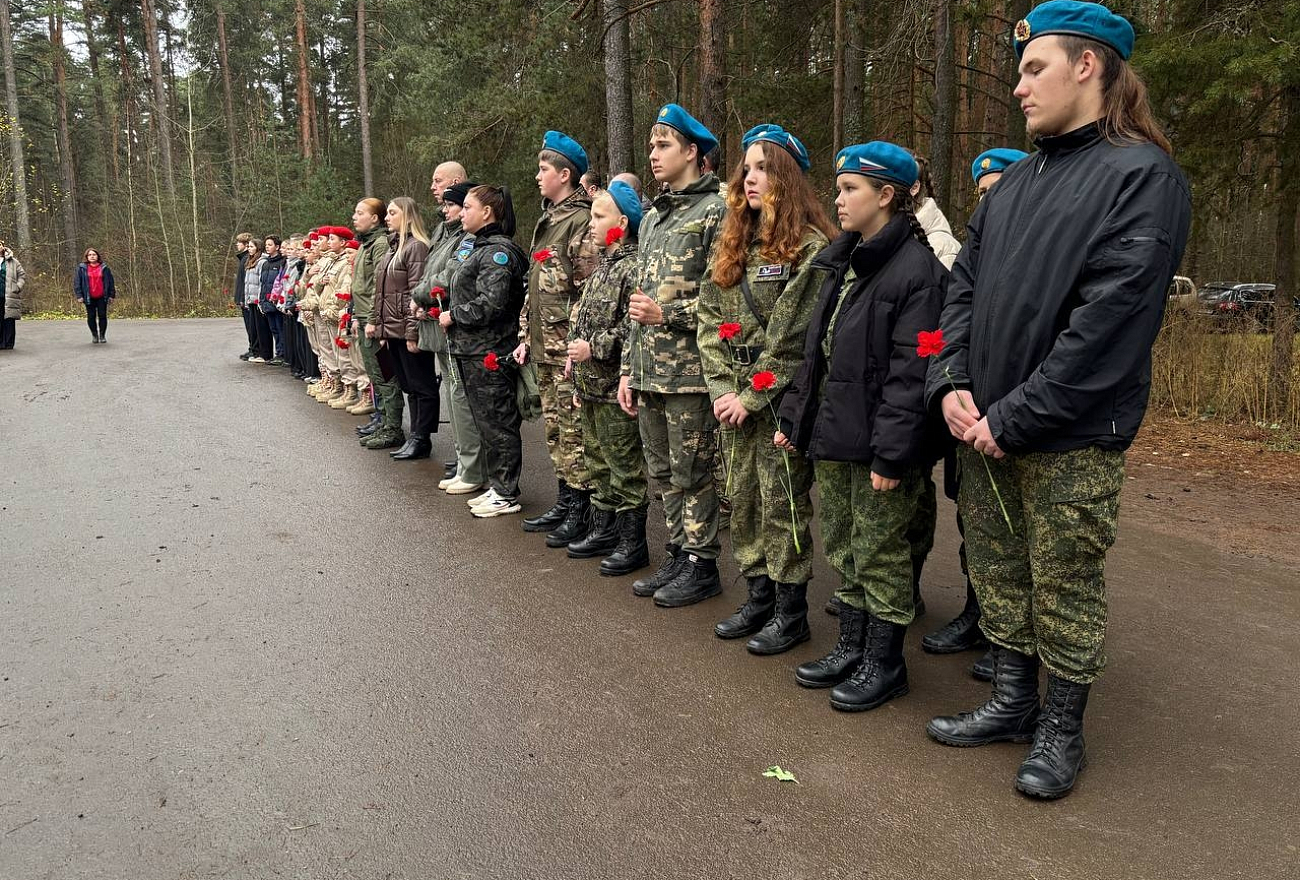 zye4custPOw6 x8kIu 48V2y 6dLbDHnaKFX73WNqQ6BXaZjvTSPGlYLFgP zfZJbbcPTp7629z6adzV9U84Atmn